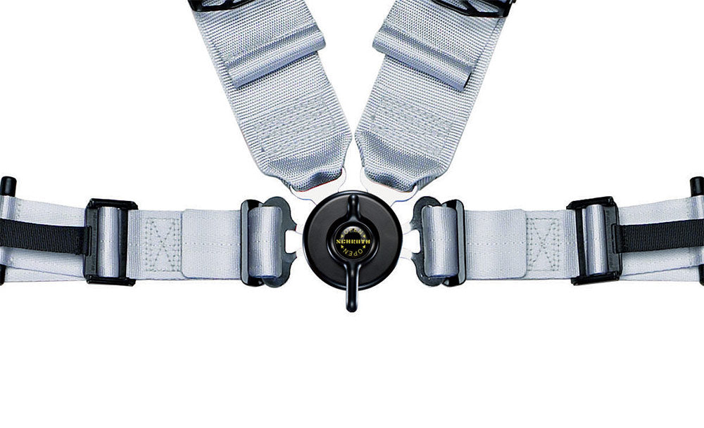 Schroth Harness Profi II 4pt ASM RFR Camlock Harness –