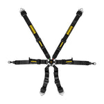 Schroth Harness - Porsche GT3 Profi 2x2