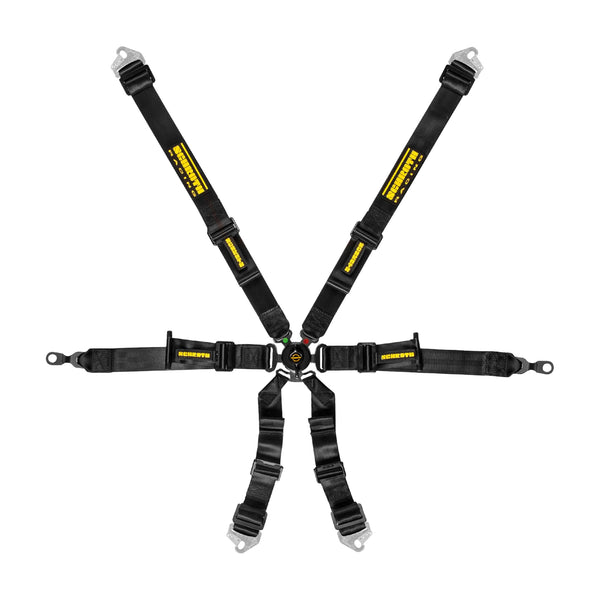 Schroth Harness - Porsche GT3 Profi 2x2